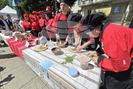 Враца - Българско сирене и млечни продукти - фестивал