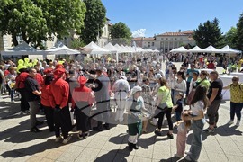 Враца - Българско сирене и млечни продукти - фестивал