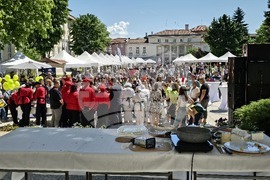 Враца - Българско сирене и млечни продукти - фестивал