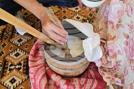 Враца - Българско сирене и млечни продукти - фестивал