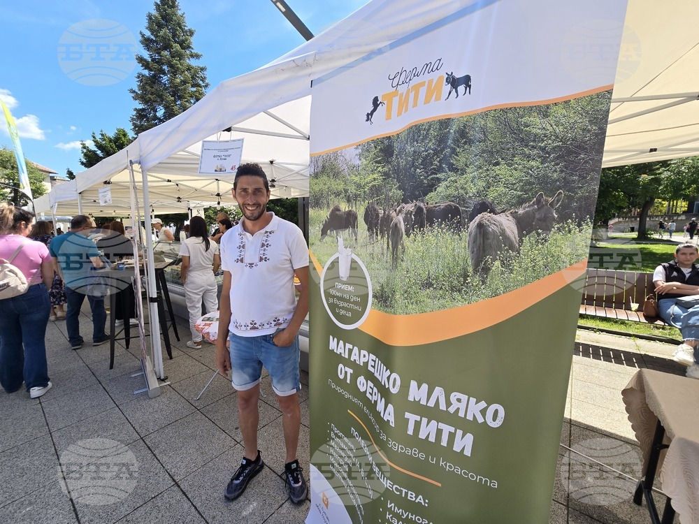 Враца - Българско сирене и млечни продукти - фестивал