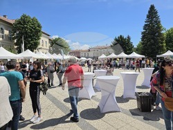 Враца - Българско сирене и млечни продукти - фестивал