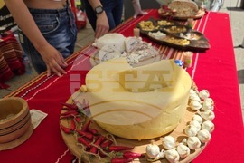Враца - Българско сирене и млечни продукти - фестивал
