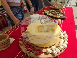 Враца - Българско сирене и млечни продукти - фестивал