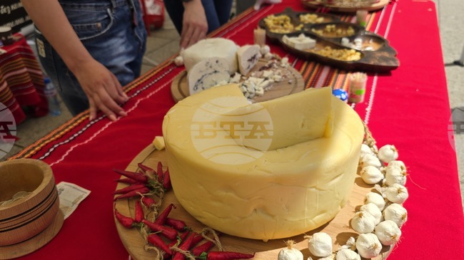 Втори фестивал на българското сирене и млечни продукти се подготвя за 2 и 3 май във Враца 