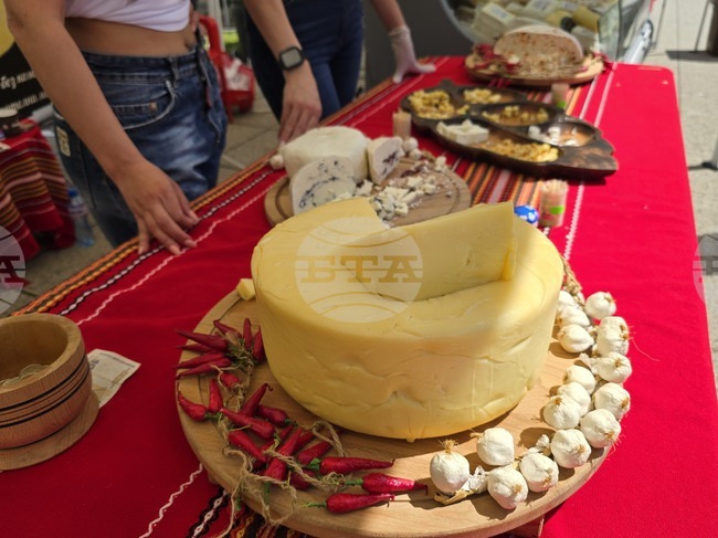Втори фестивал на българското сирене и млечни продукти се подготвя за 2 и 3 май във Враца 