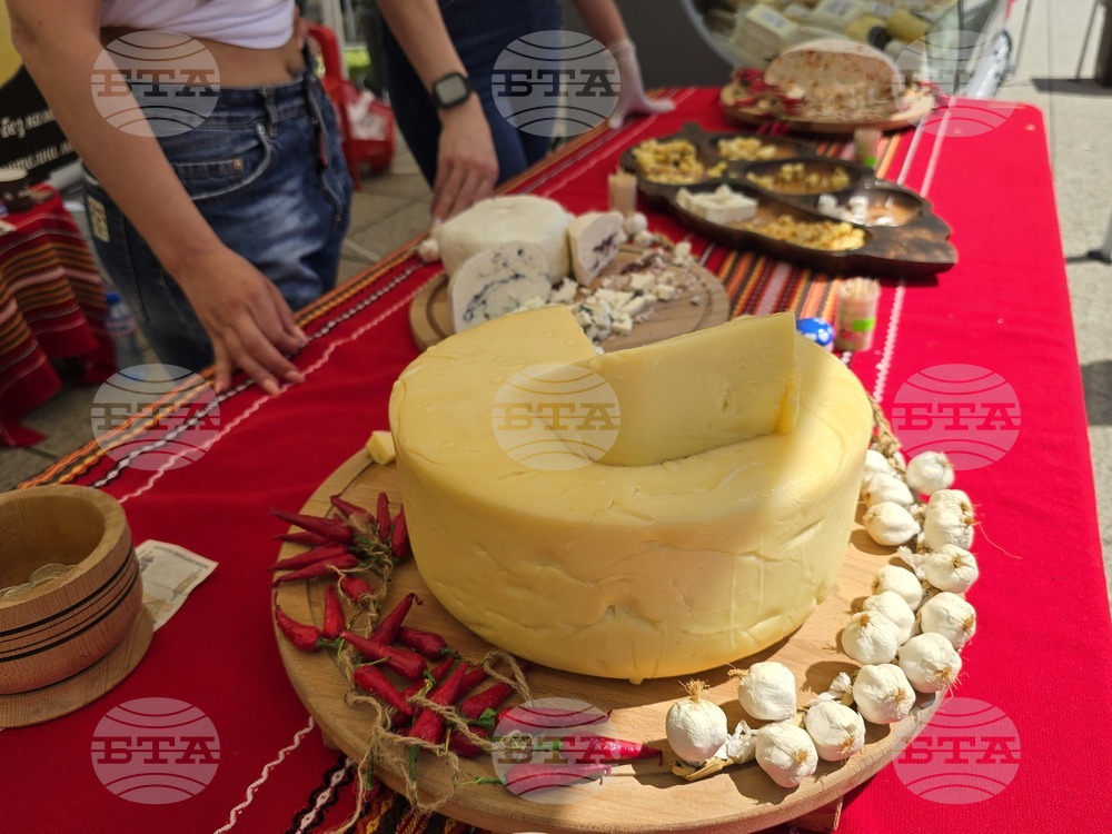 Враца - Българско сирене и млечни продукти - фестивал