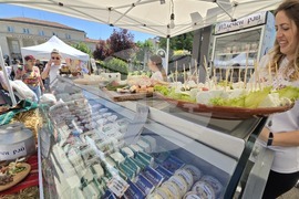 Враца - Българско сирене и млечни продукти - фестивал