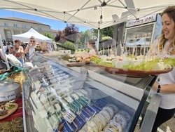 Враца - Българско сирене и млечни продукти - фестивал