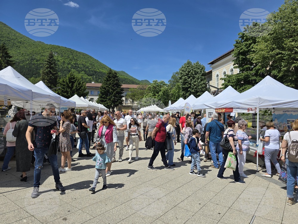 Враца - Българско сирене и млечни продукти - фестивал