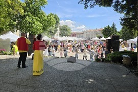 Враца - Българско сирене и млечни продукти - фестивал