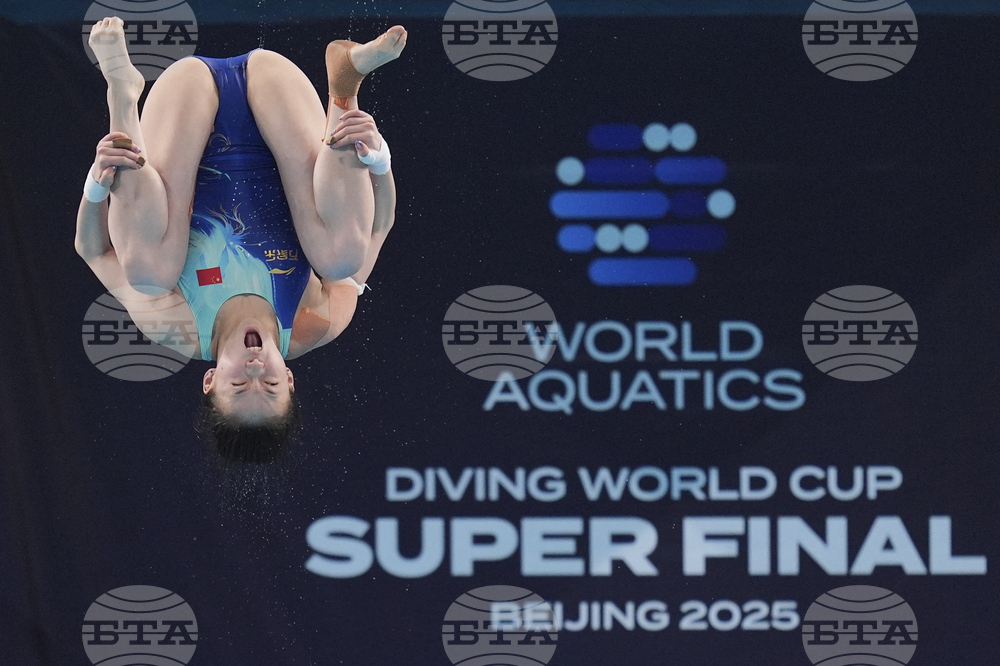 China Diving World Cup