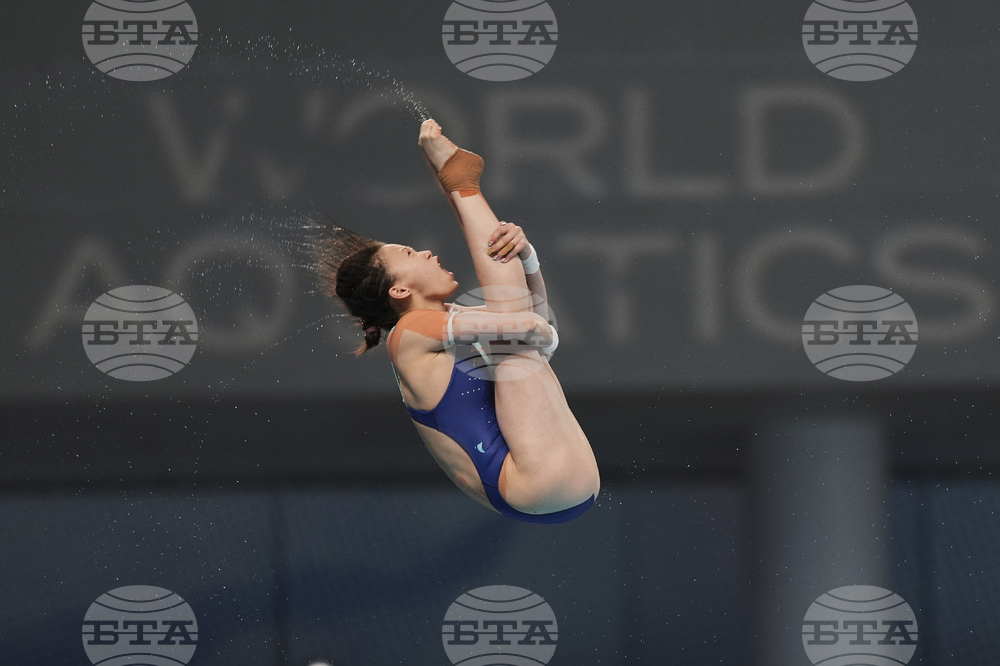 China Diving World Cup
