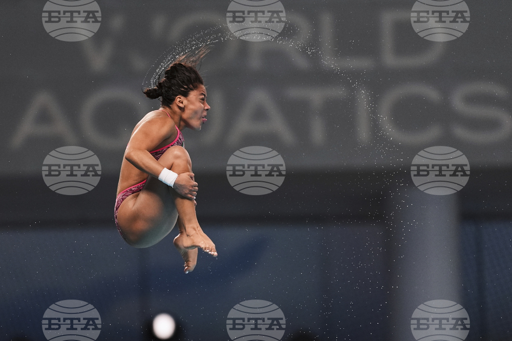 China Diving World Cup