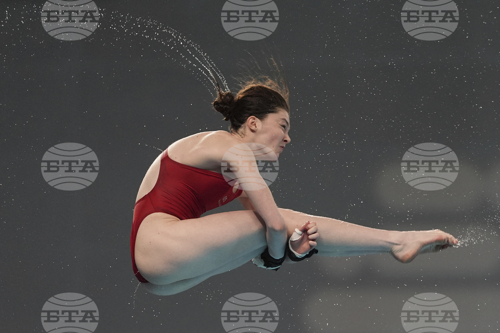 China Diving World Cup