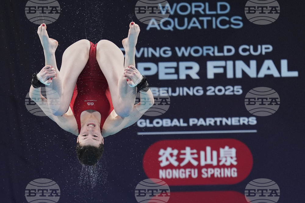 China Diving World Cup