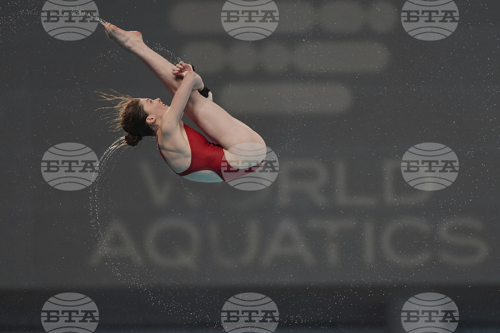 China Diving World Cup
