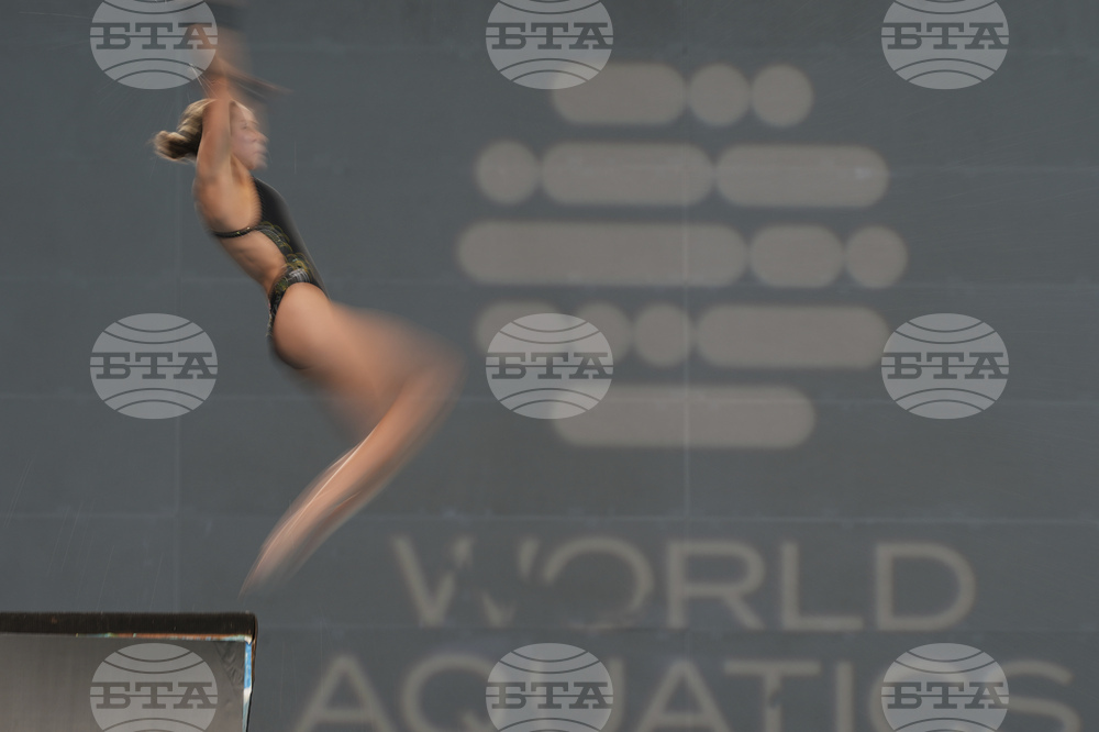 China Diving World Cup