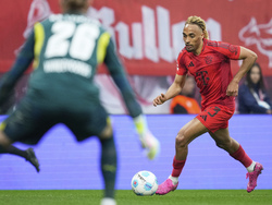 Germany Soccer Bundesliga