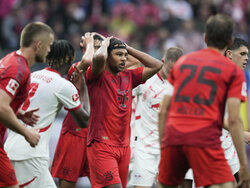Germany Soccer Bundesliga