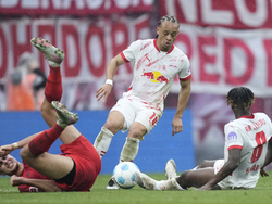 Germany Soccer Bundesliga