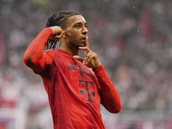 Germany Soccer Bundesliga