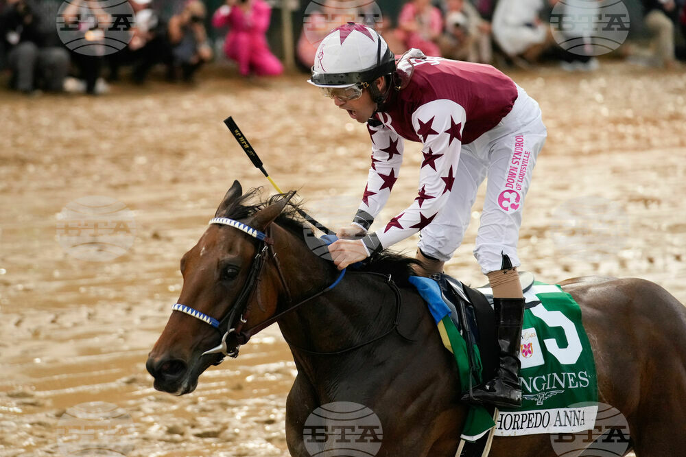 Thorpedo Anna Loses Horse Racing