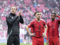 Germany Soccer Bundesliga