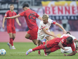 Germany Soccer Bundesliga