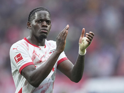 Germany Soccer Bundesliga