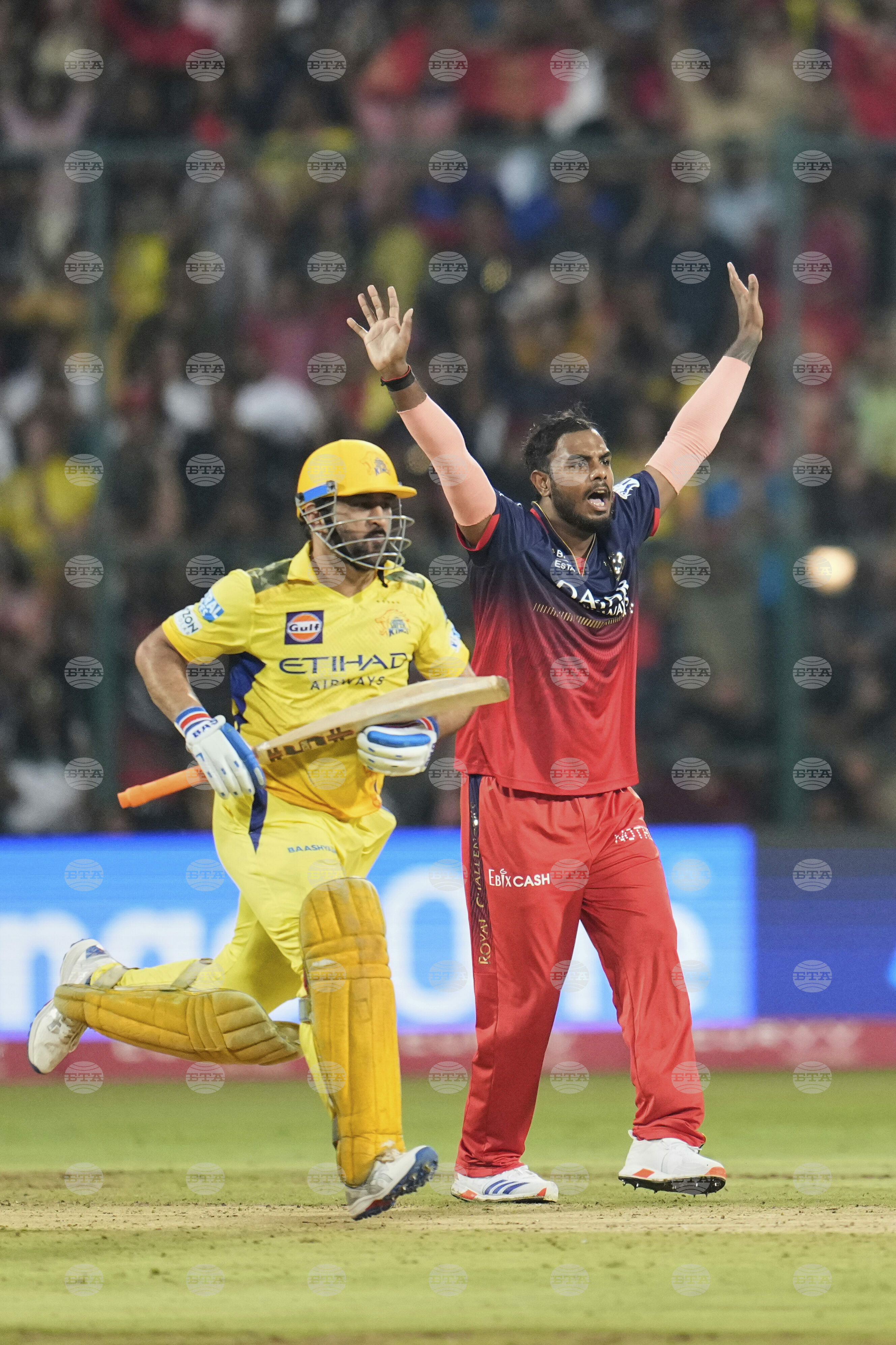 India IPL Cricket