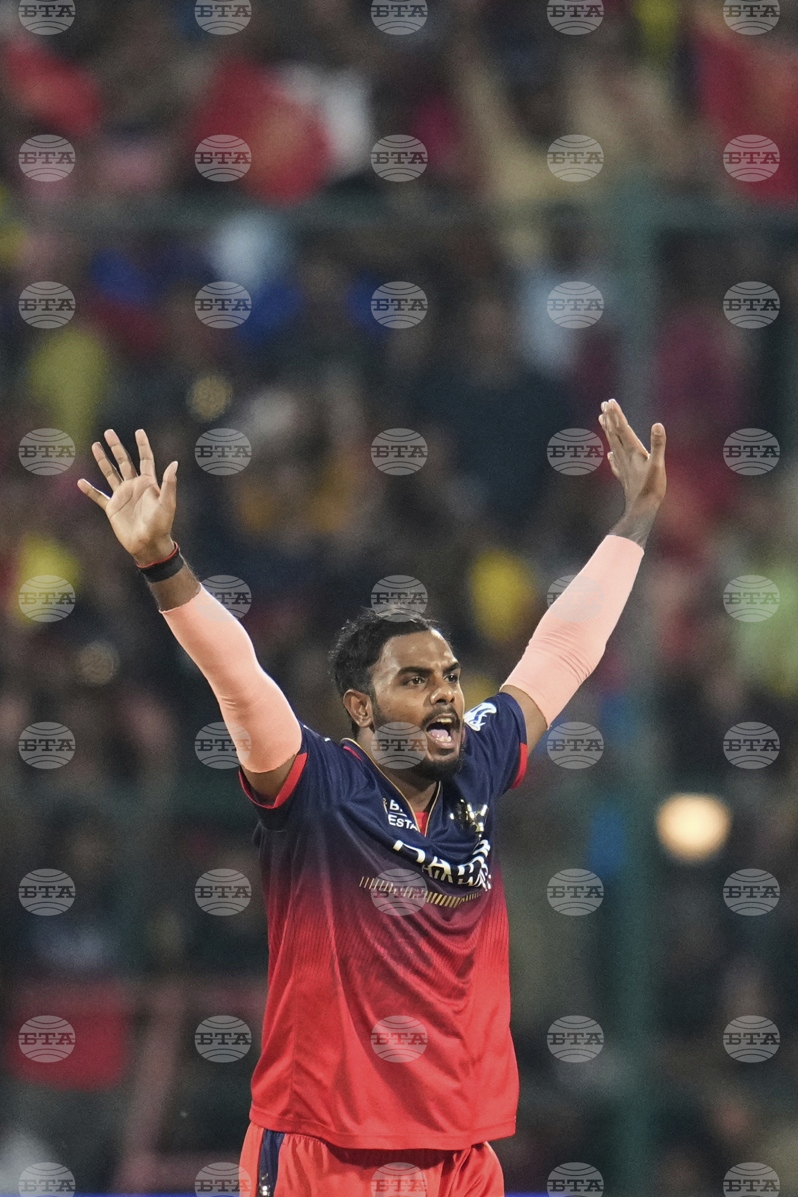 India IPL Cricket