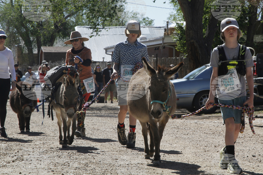 Burro-Racing