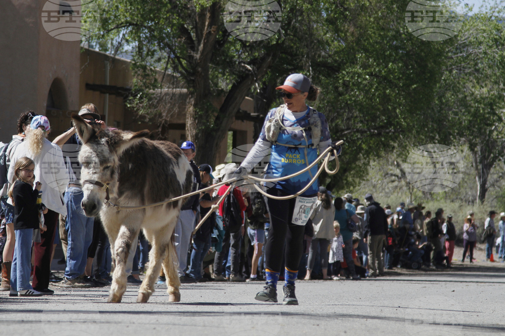 Burro-Racing