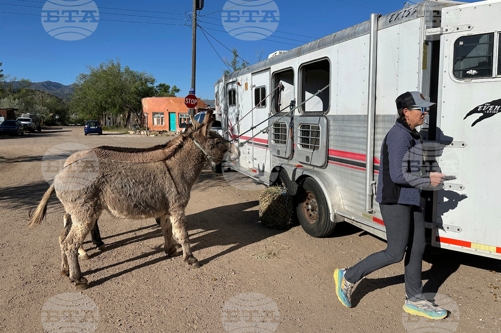 Burro-Racing