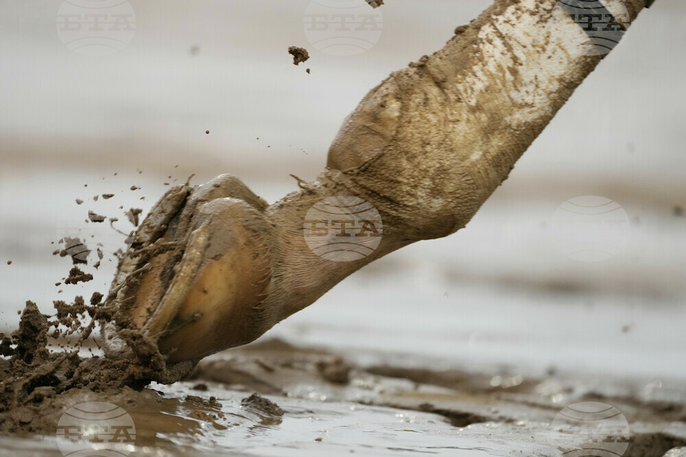 APTOPIX Kentucky Derby Horse Racing