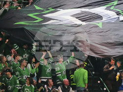 Avalanche Stars Hockey