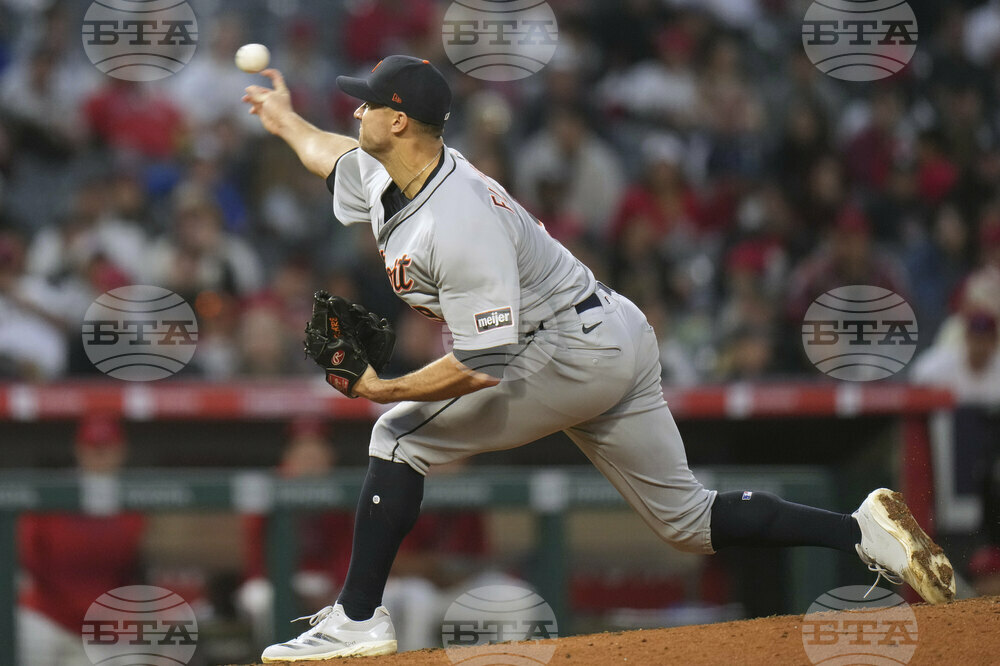 Tigers Angels Baseball