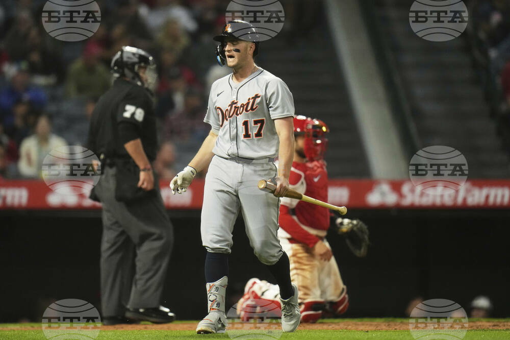 Tigers Angels Baseball