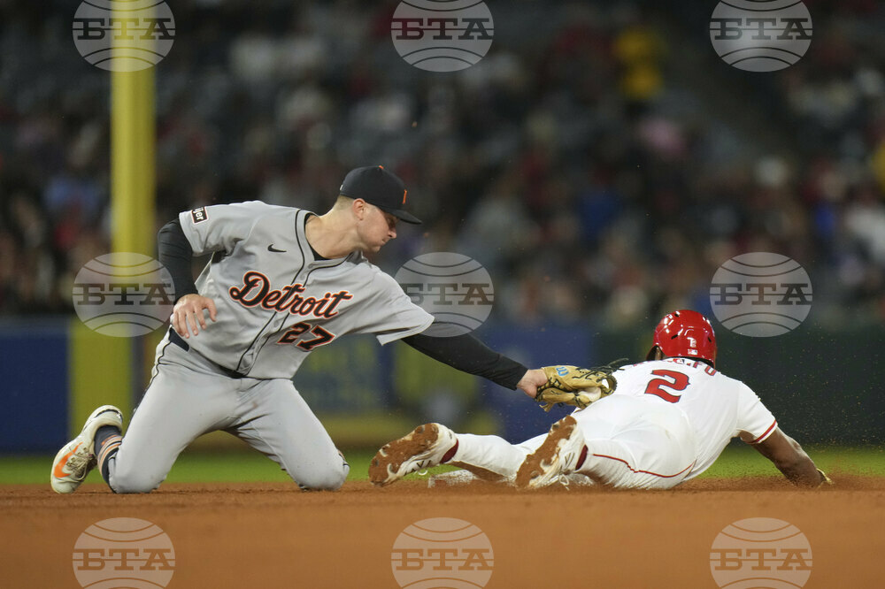 Tigers Angels Baseball