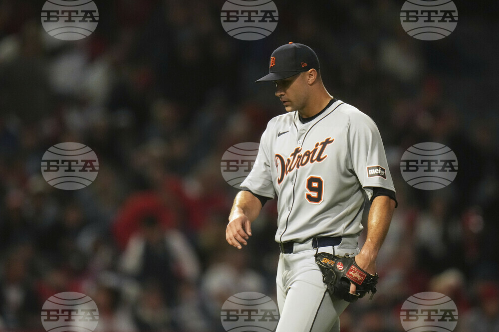 Tigers Angels Baseball