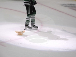 APTOPIX Avalanche Stars Hockey