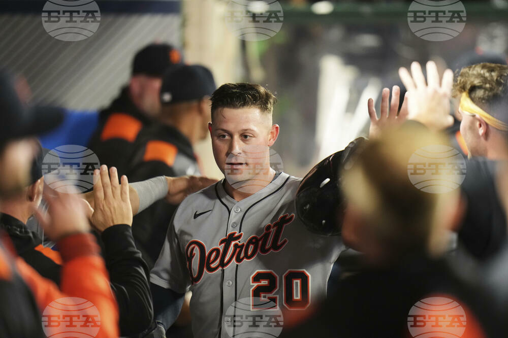 Tigers Angels Baseball
