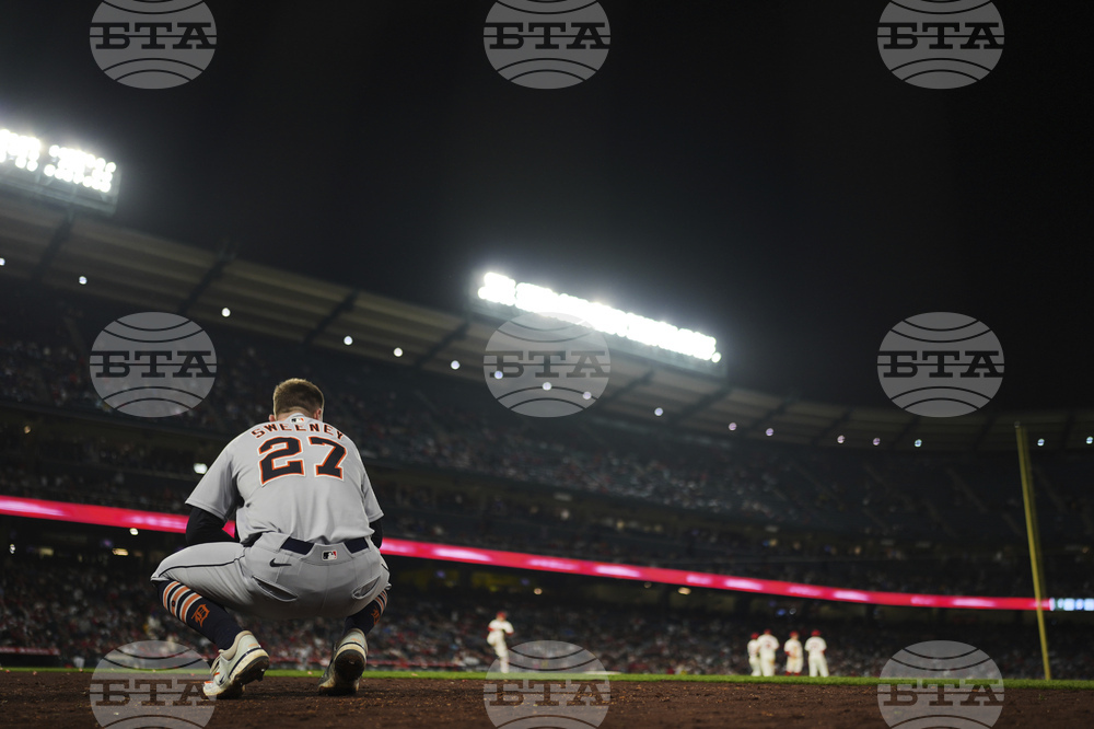 Tigers Angels Baseball