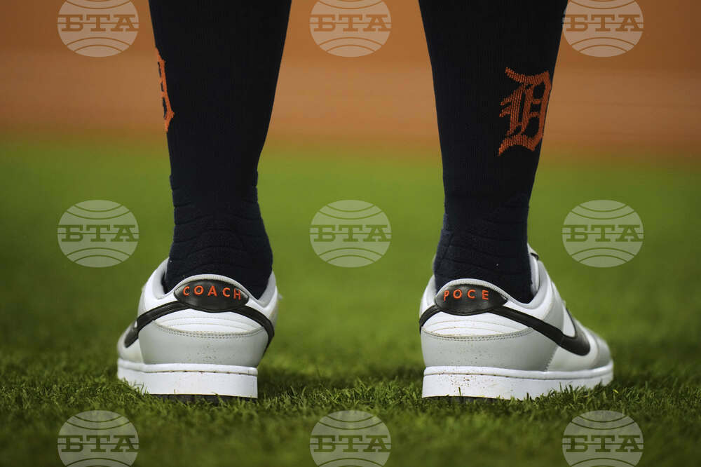 Tigers Angels Baseball