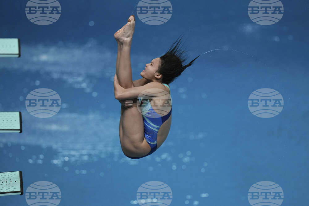 China Diving World Cup