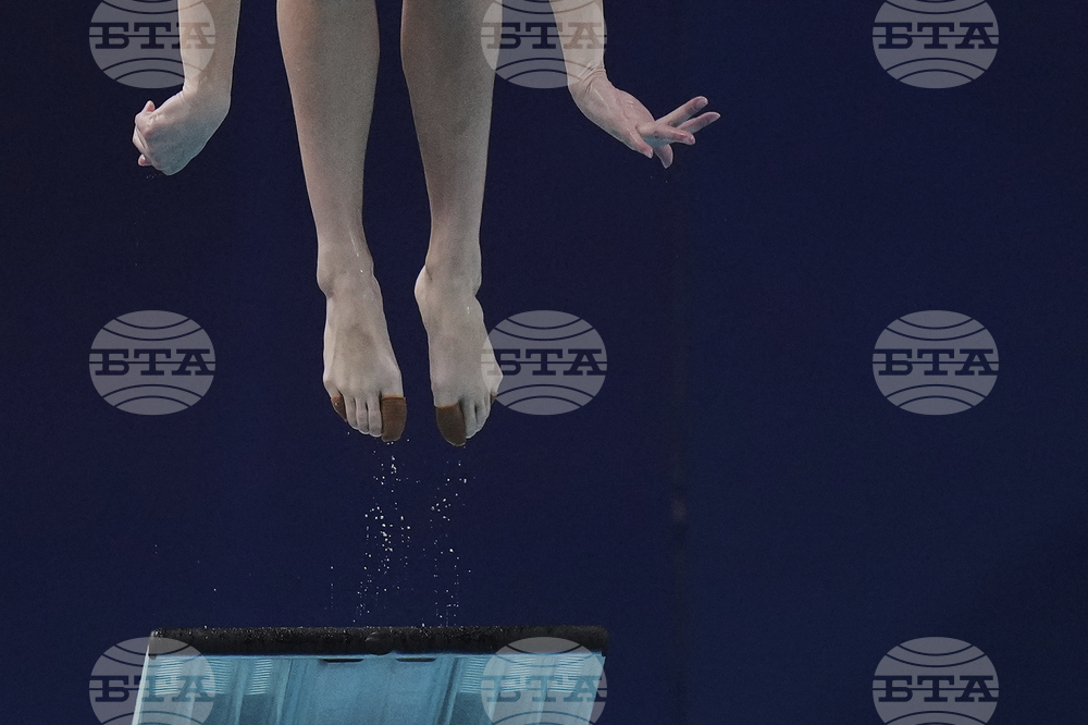 China Diving World Cup