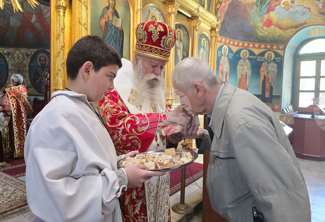 Ловеч - митрополит - служба