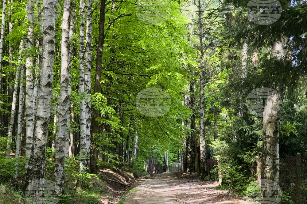 Good Mountain Hiking Conditions on Thursday
