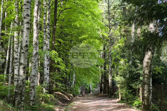 Good Mountain Hiking Conditions on Thursday